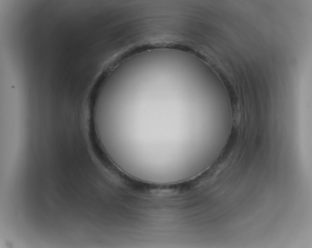X0000113360448200909151010