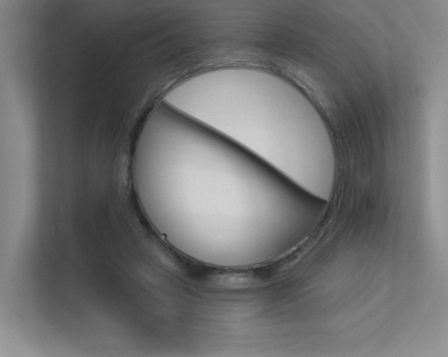 X0000113360449200909151010