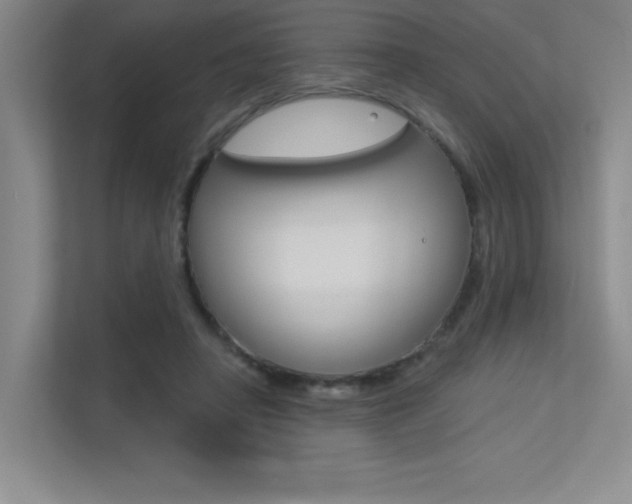 X0000113360450200909151010