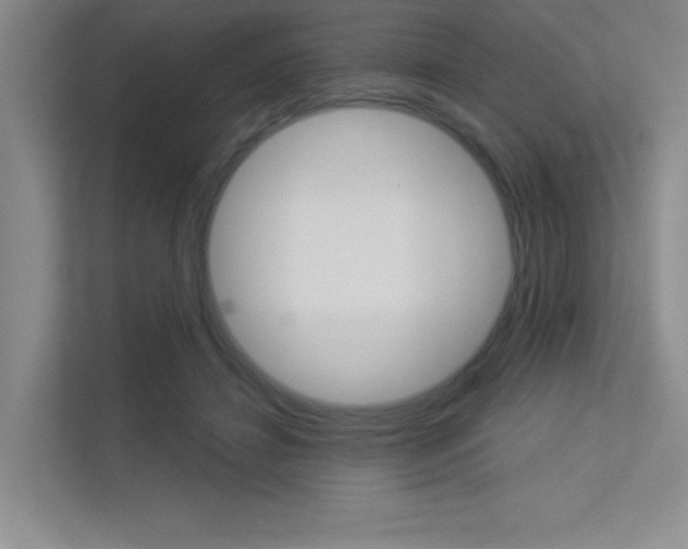 X0000113360452200909151010
