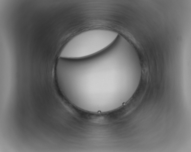 X0000113360454200909151010
