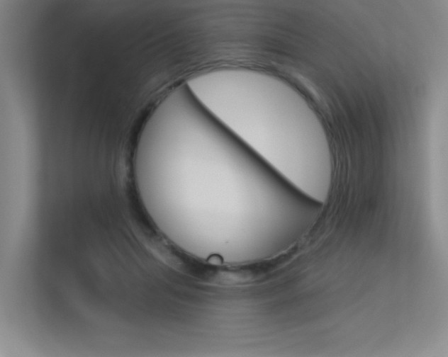 X0000113360455200909151010