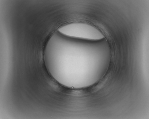 X0000113360457200909151010