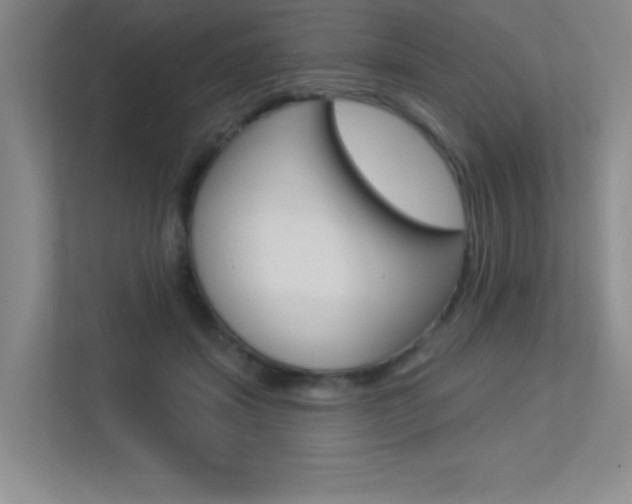 X0000113360459200909151010