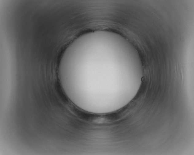 X0000113360460200909151010