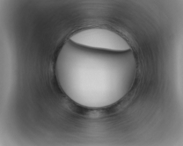 X0000113360461200909151010