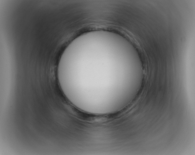 X0000113360462200909151010