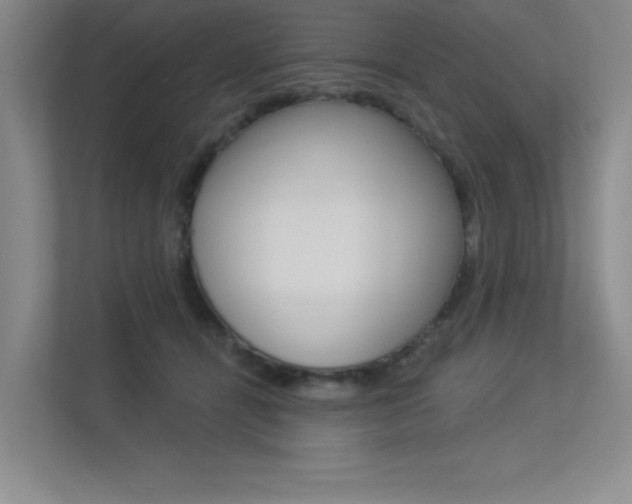 X0000113360464200909151010