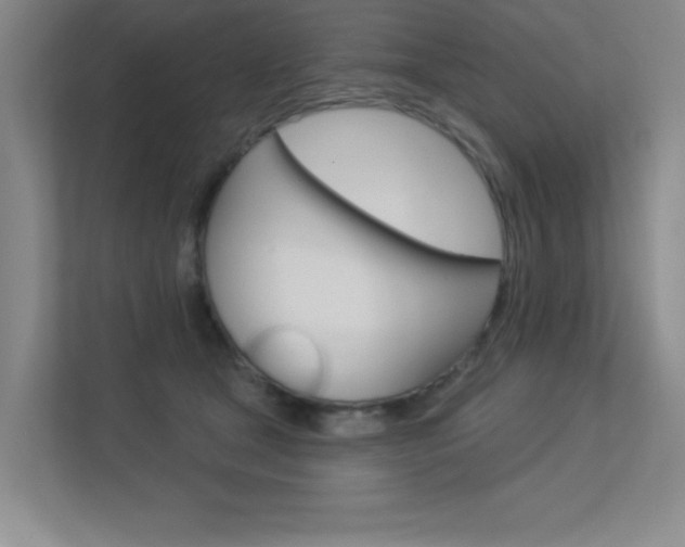 X0000113360465200909151010