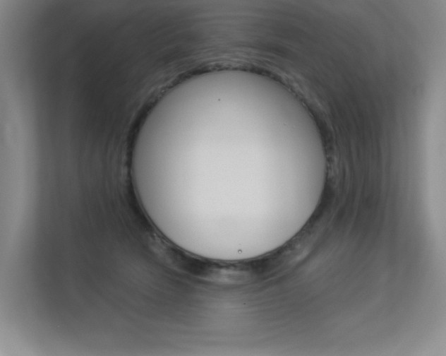 X0000113360466200909151010