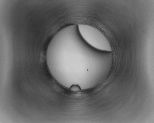 X0000113360467200909151010