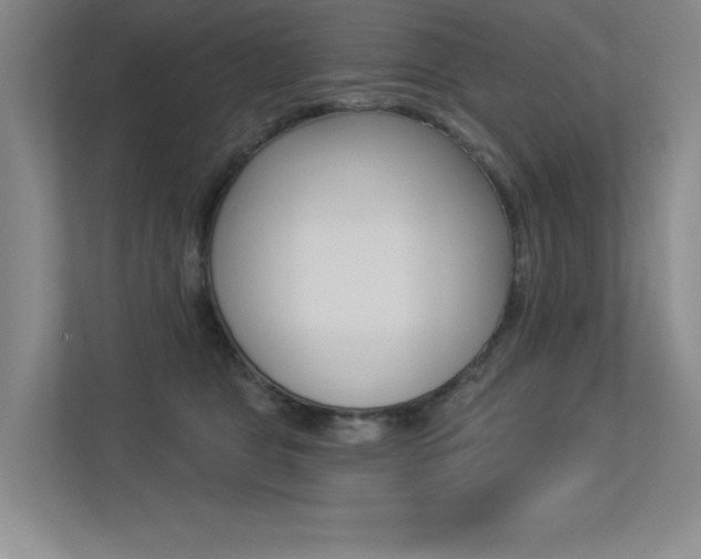 X0000113360469200909151010