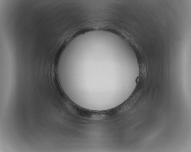 X0000113360470200909151010