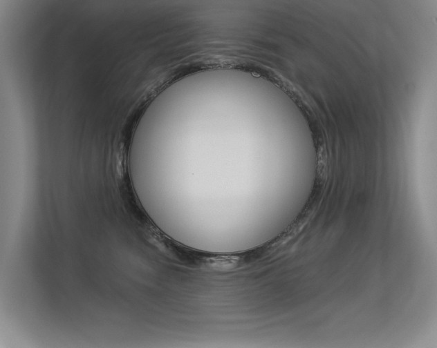 X0000113360474200909151010