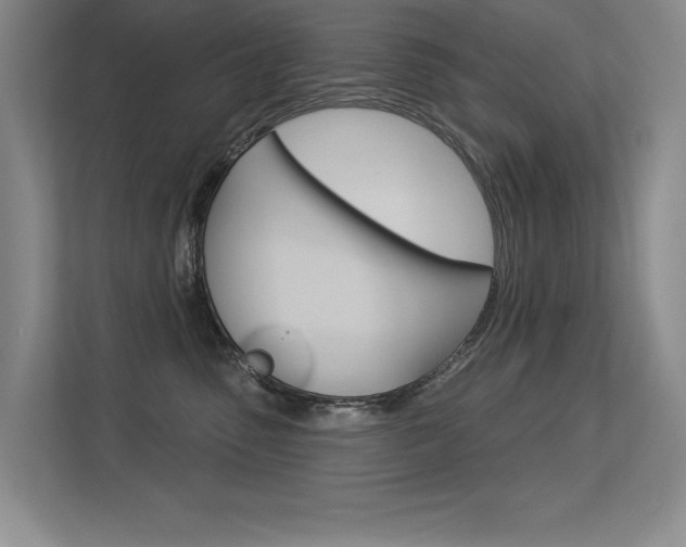 X0000113360475200909151010