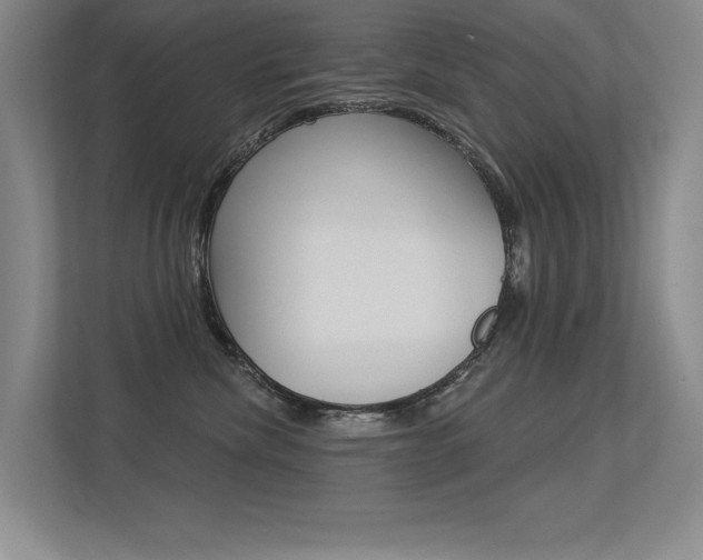 X0000113360476200909151010