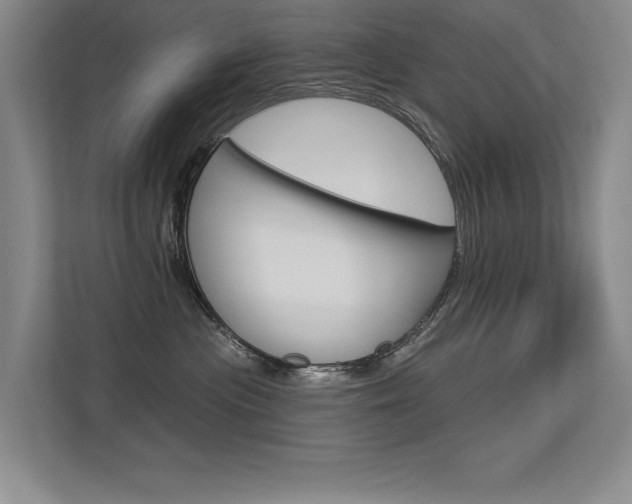 X0000113360477200909151010