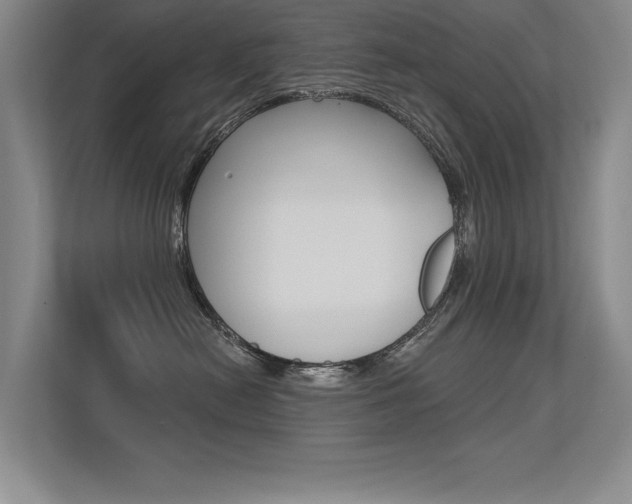 X0000113360478200909151010