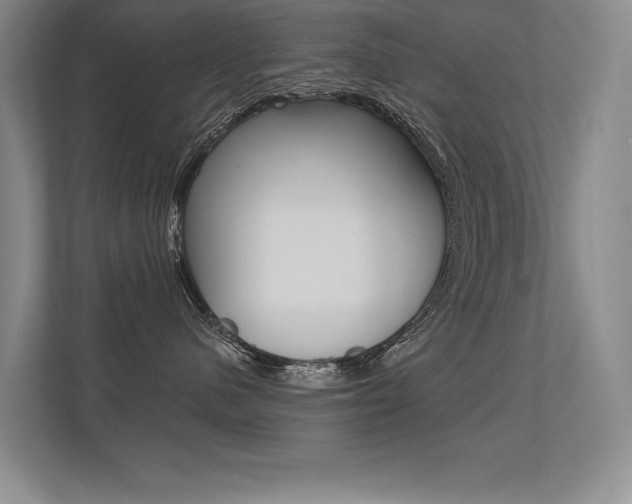 X0000113360480200909151010