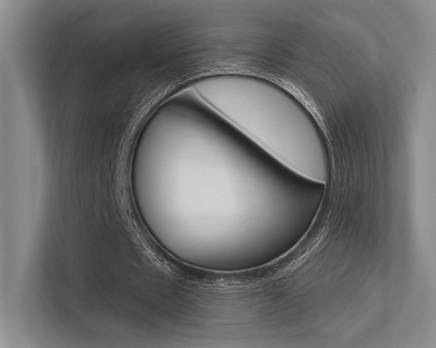 X0000113360481200909151009
