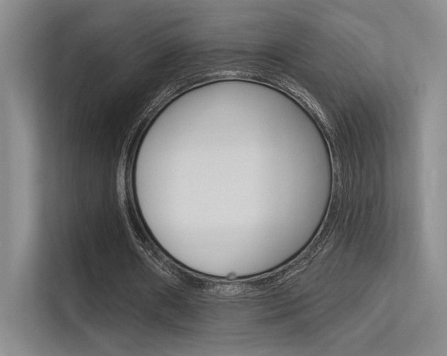 X0000113360482200909151009