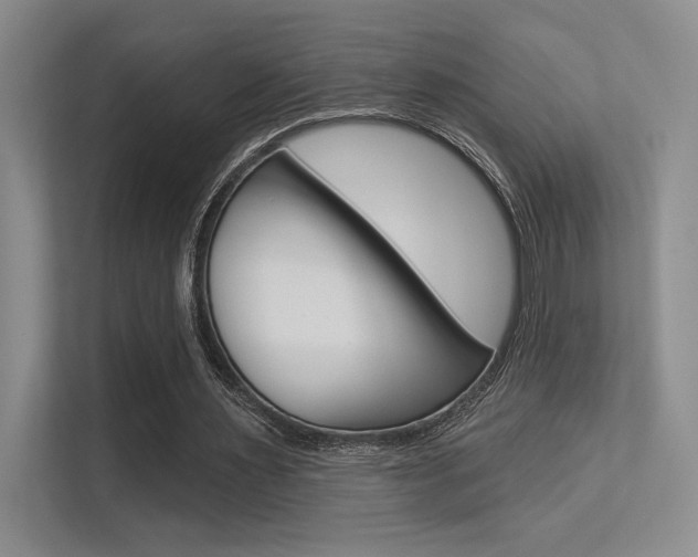X0000113360483200909151009