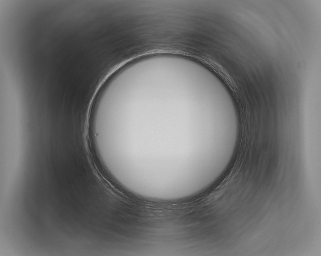 X0000113360484200909151009