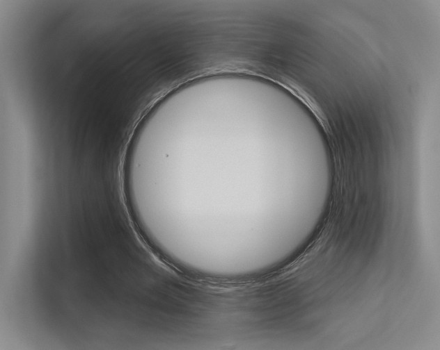 X0000113360485200909151009