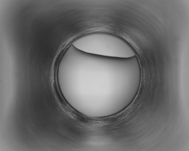 X0000113360486200909151009