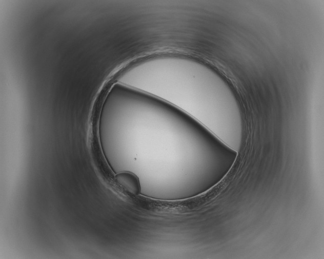X0000113360488200909151009