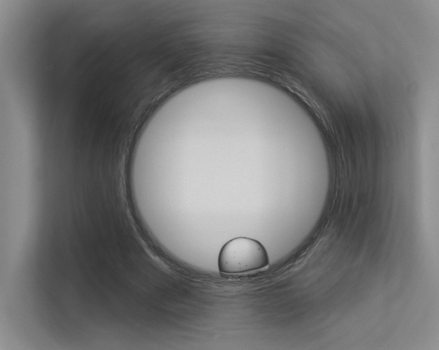 X0000113360489200909151009