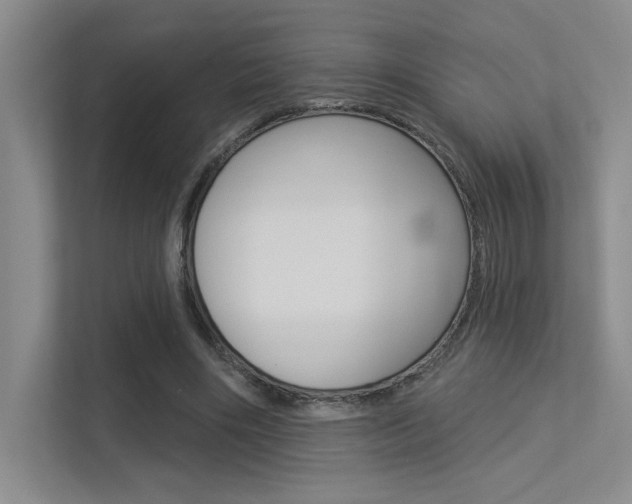 X0000113360490200909151009