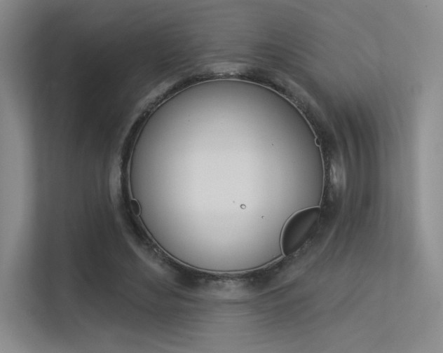 X0000113360492200909151009