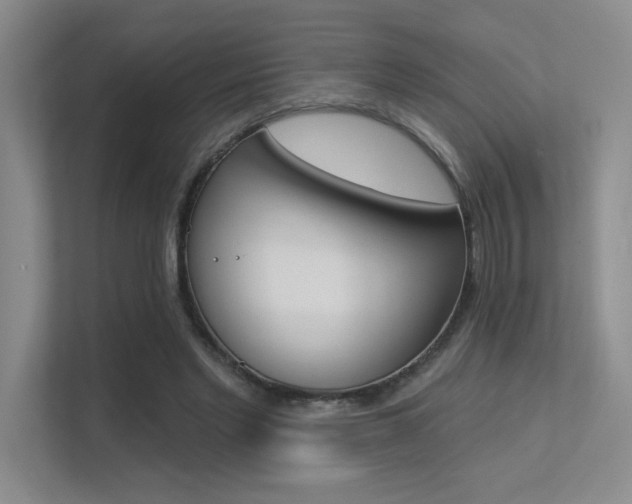 X0000113360493200909151009