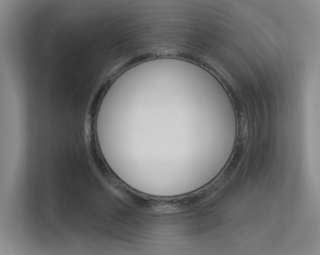 X0000113360494200909151009