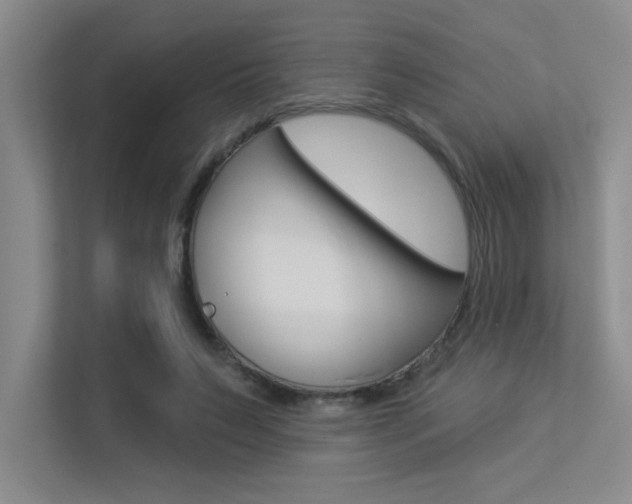 X0000113360495200909151009
