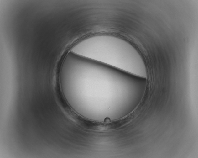 X0000113360496200909151009