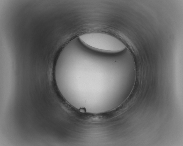 X0000113360497200909151009