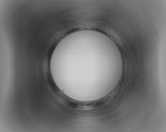 X0000113360498200909151009