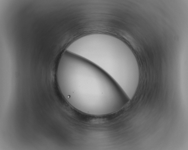 X0000113360499200909151009