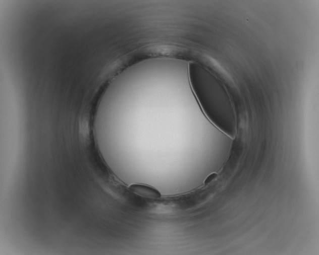 X0000113360500200909151009