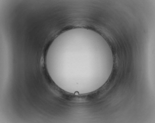 X0000113360502200909151009