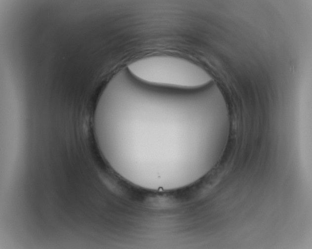 X0000113360503200909151009