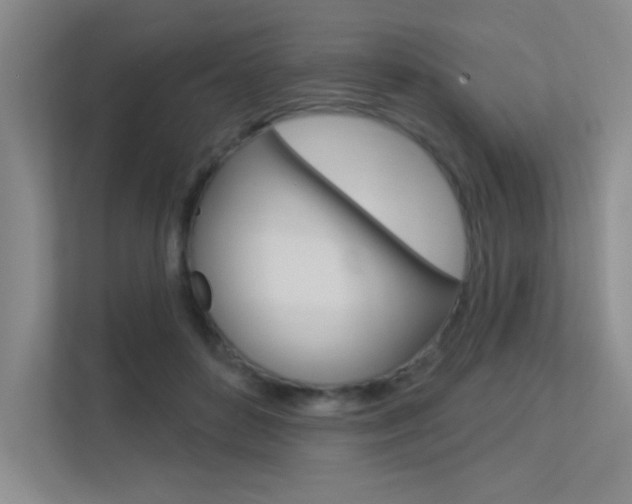 X0000113360504200909151009