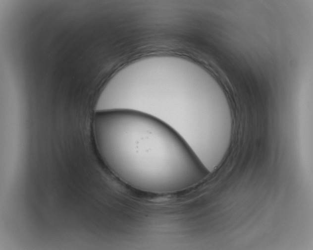 X0000113360505200909151009