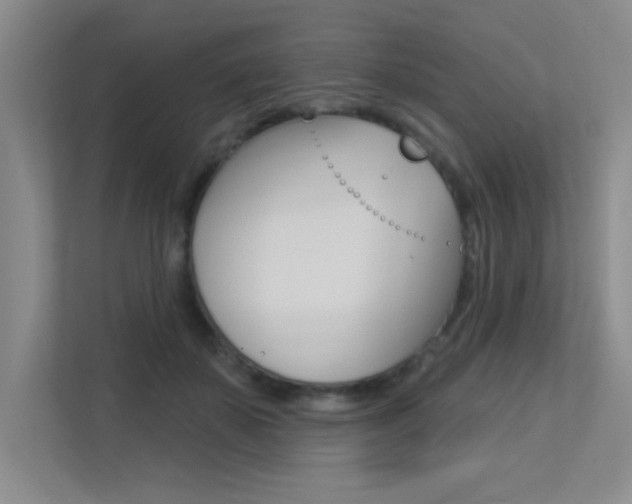 X0000113360507200909151009