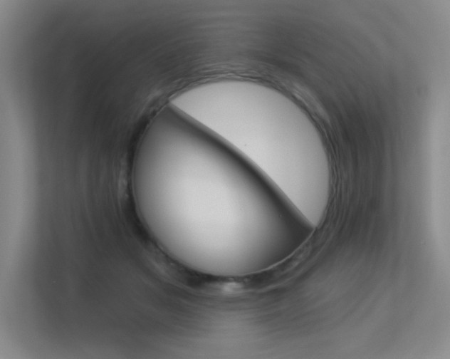 X0000113360509200909151009