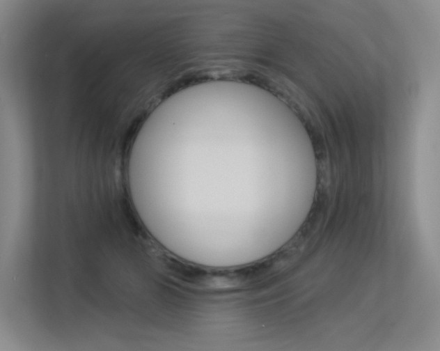 X0000113360510200909151009