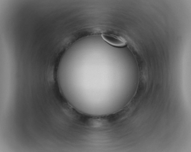 X0000113360512200909151009