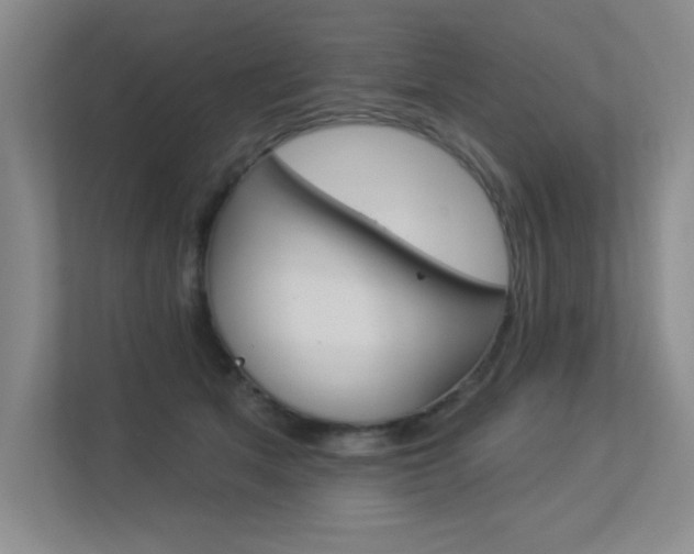X0000113360513200909151009